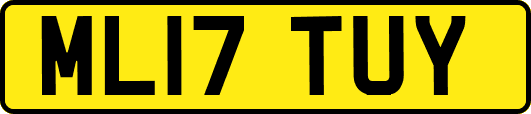 ML17TUY