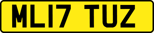 ML17TUZ