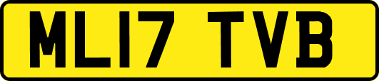 ML17TVB