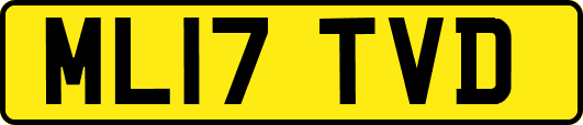 ML17TVD