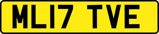 ML17TVE
