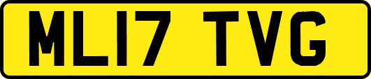 ML17TVG