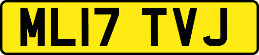 ML17TVJ