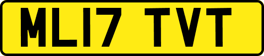 ML17TVT