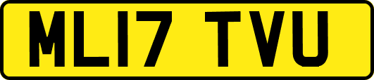 ML17TVU