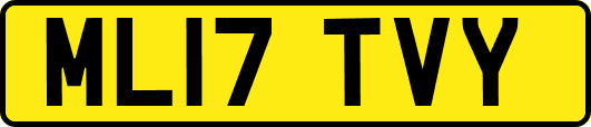 ML17TVY