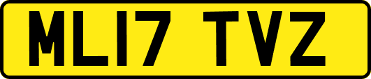 ML17TVZ