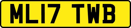 ML17TWB