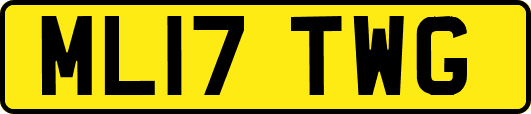 ML17TWG