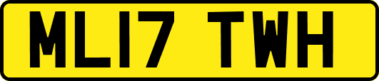 ML17TWH