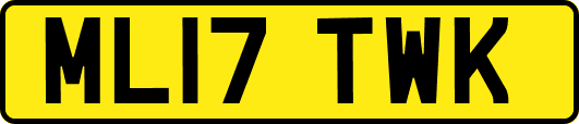 ML17TWK