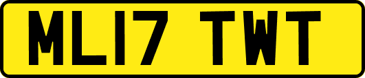 ML17TWT