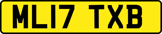 ML17TXB