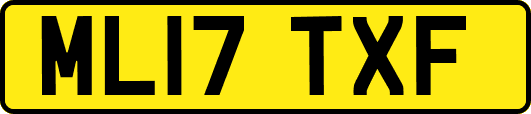 ML17TXF