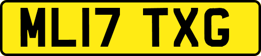 ML17TXG