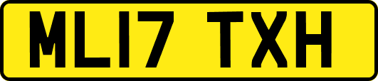 ML17TXH