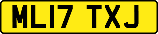 ML17TXJ