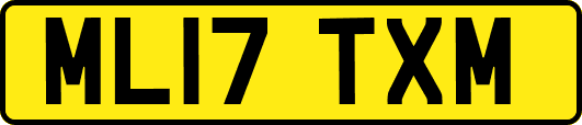 ML17TXM