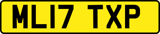 ML17TXP