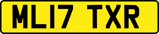 ML17TXR