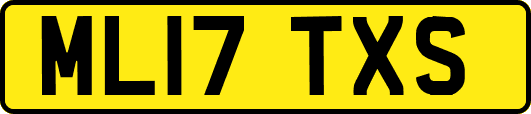 ML17TXS