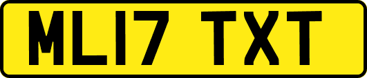 ML17TXT