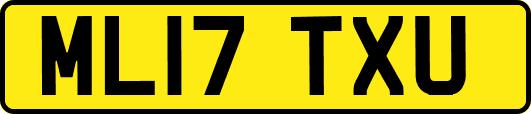 ML17TXU