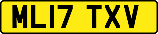 ML17TXV