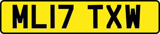 ML17TXW
