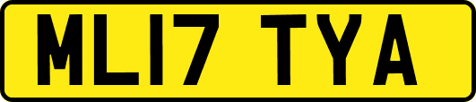 ML17TYA