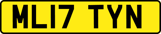 ML17TYN