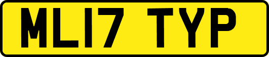 ML17TYP
