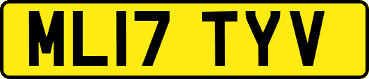 ML17TYV