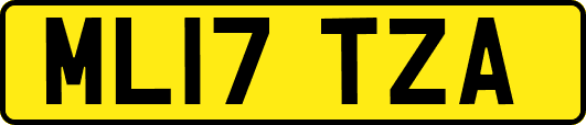 ML17TZA