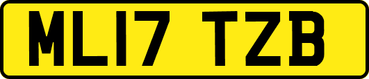 ML17TZB
