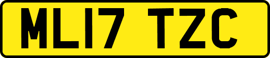 ML17TZC