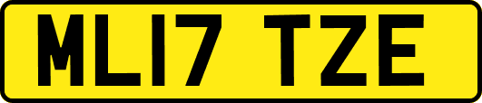 ML17TZE