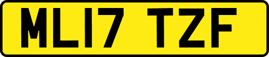 ML17TZF