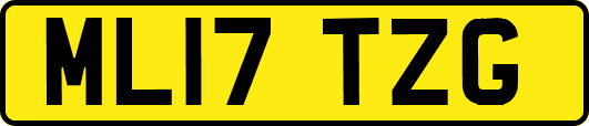 ML17TZG