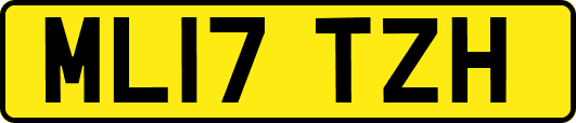 ML17TZH