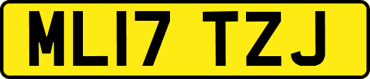 ML17TZJ