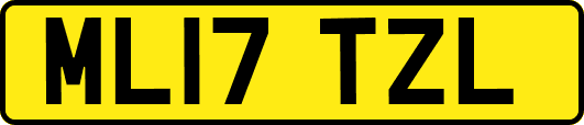 ML17TZL