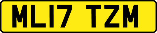 ML17TZM
