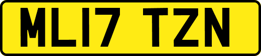 ML17TZN