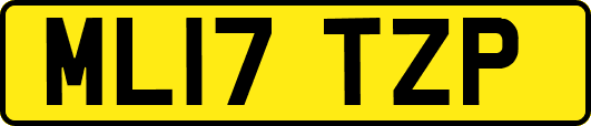ML17TZP