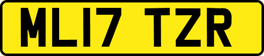 ML17TZR