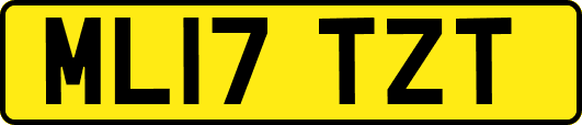 ML17TZT
