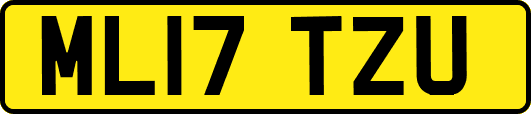ML17TZU