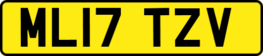 ML17TZV