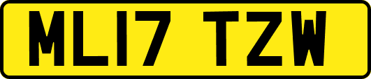ML17TZW